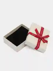 Белый подарочная коробка для упаковки украшений и ювелирных изделий, прямоугольная