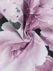 Лайм комплект постельного белья, евро, хлопок