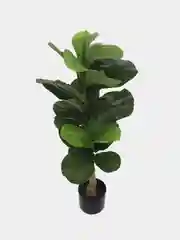 Лайм искусственные цветы для декора, дерево пальма, банан, фикус