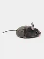 Игрушка для кошек интерактивная, микроробот HEXBUG "Мышка Грей", серая, 6.5х4х2.8см