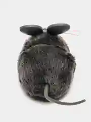 Игрушка для кошек интерактивная, микроробот HEXBUG "Мышка Грей", серая, 6.5х4х2.8см