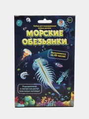 Набор для выращивания живых рачков/игра/для детей/развлечение/опыты
