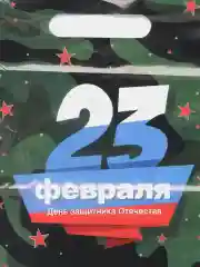 Зелёный хаки пакет подарочный "23 февраля", полиэтиленовый с вырубной ручкой, 20 х 30 см, 30 мк