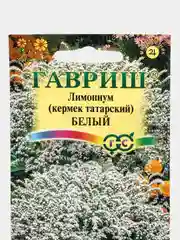 Семена цветов Кермек татарский "Лимониум белый"