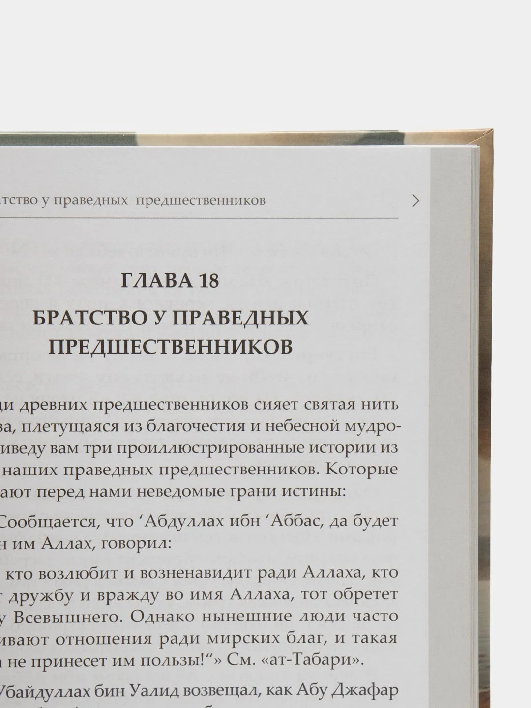 Книга "Всё что вы хотели знать о дружбе, но боялись спросить", Читай-Умма