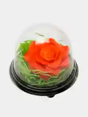 Оранжевый букет из мыла, в куполе, подарок на 8 марта