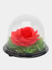 Алый букет из мыла, в куполе, подарок на 8 марта