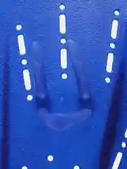 Синий лопатки гребные Swim Team для плавания, ласты