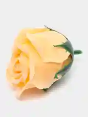 Лавандовый розы из мыла