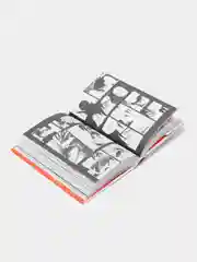 Naruto. Наруто. Книга 6. Бой в Листве. Финал / Манга / Комикс