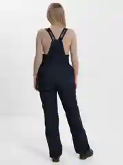 Горнолыжные брюки, женские