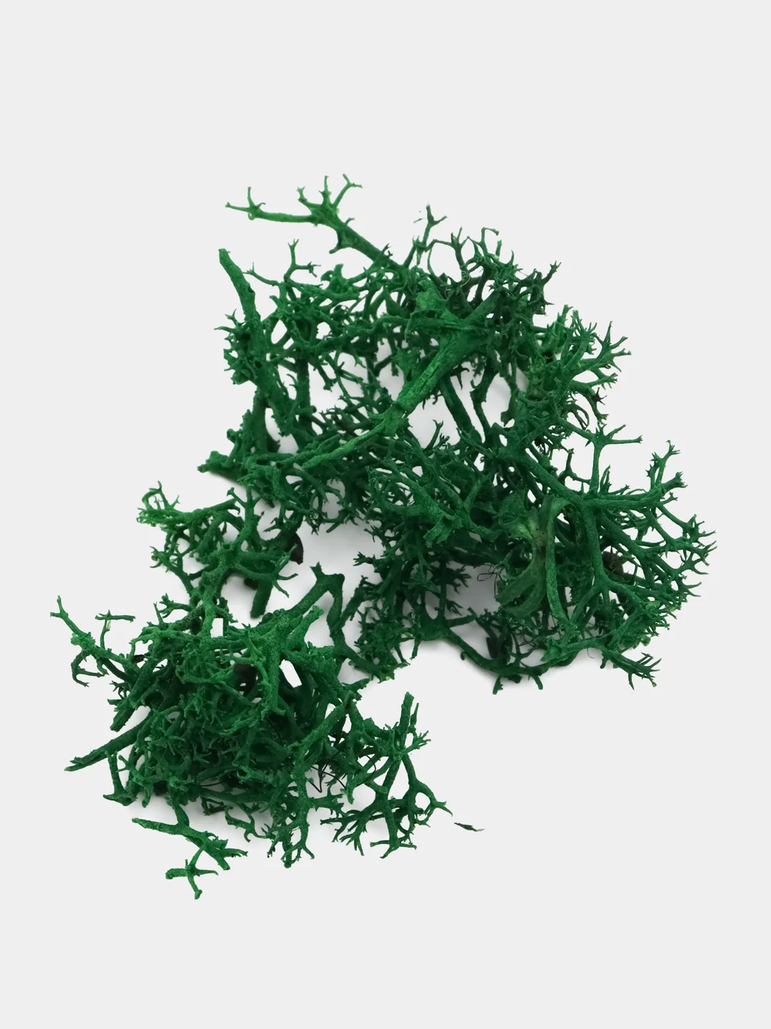 Стабилизированный мох, кусочки, крафт коробка, 100 г