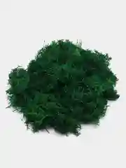 Стабилизированный мох, кусочки, крафт коробка, 100 г