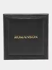 Серебряный часы мужсике Romanson