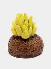 Лайм кактус, мини фигурка, декор, сувенир коллекция