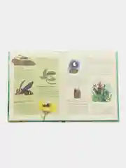 Насекомые. Удивительный маленький мир