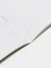 Тетрадь для школы Brauberg, 24 листа, 10 штук, линия, обложка картон, зеленая, 106662