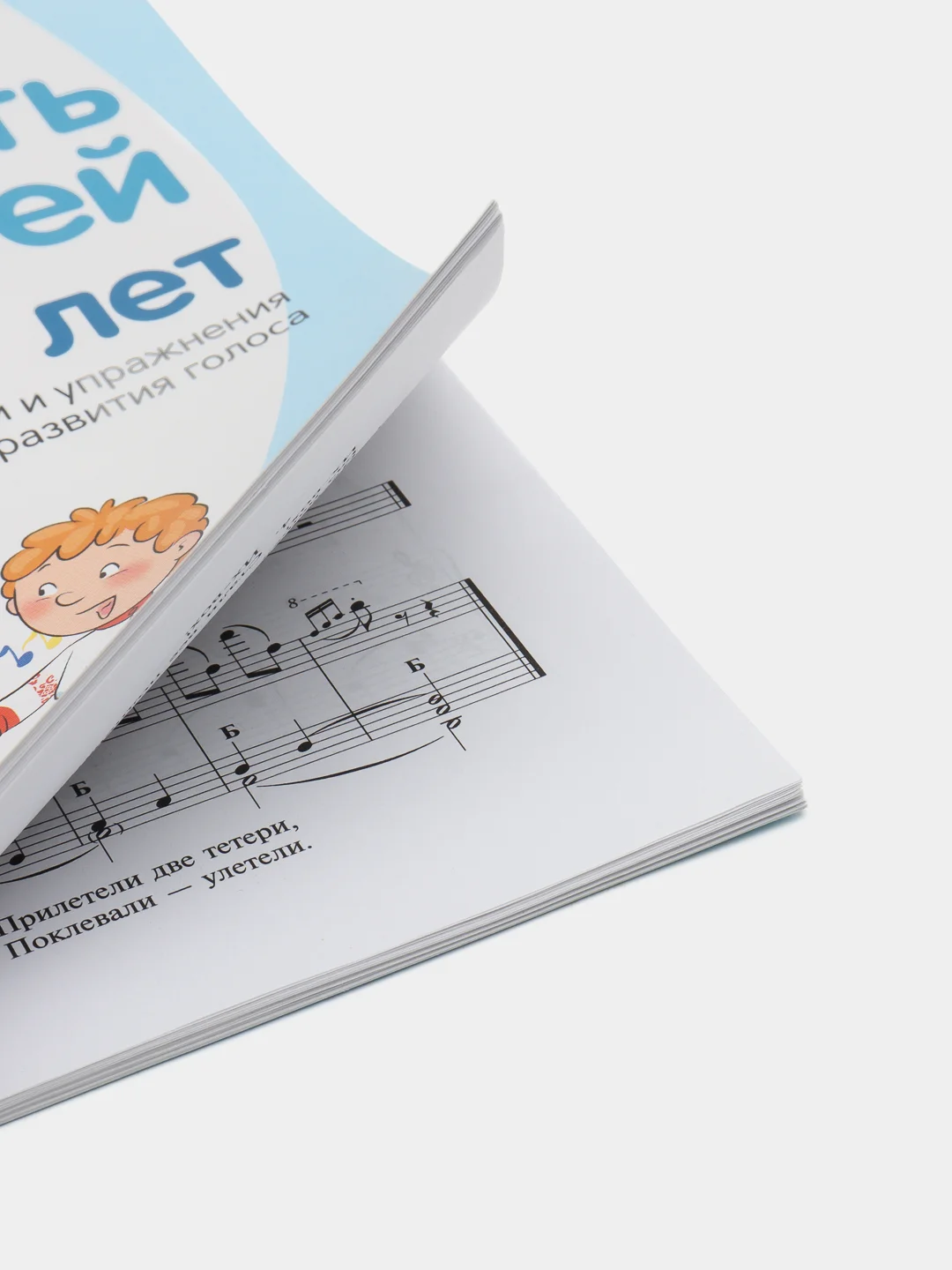 Учим петь детей 4-5 лет. Песни и упражнения для развития голоса, Мерзлякова С.И