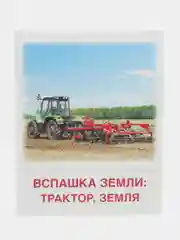 Демонстрационные картинки. Хлеб всему голова, Цветкова Татьяна Владиславовна