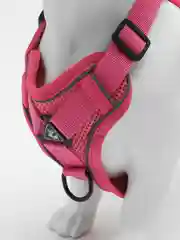 Розовый шлейка для собак с поводком, 1,5 м