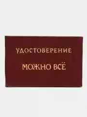 Шуточное удостоверение "Можно все"