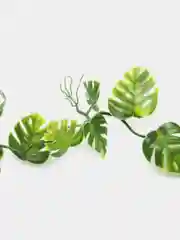 Декоративное растение для террариумов LUCKY REPTILE "Pothos Vine", 200 см