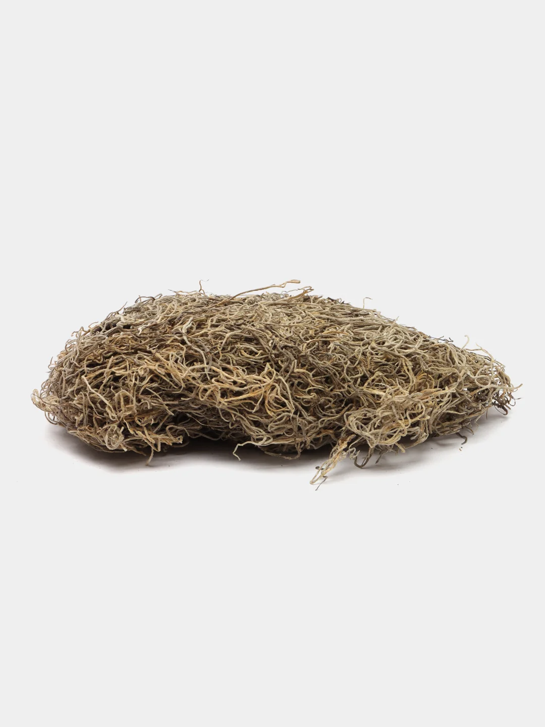 LUCKY REPTILE Мох испанский для террариума "Spanish Moss", 50 г