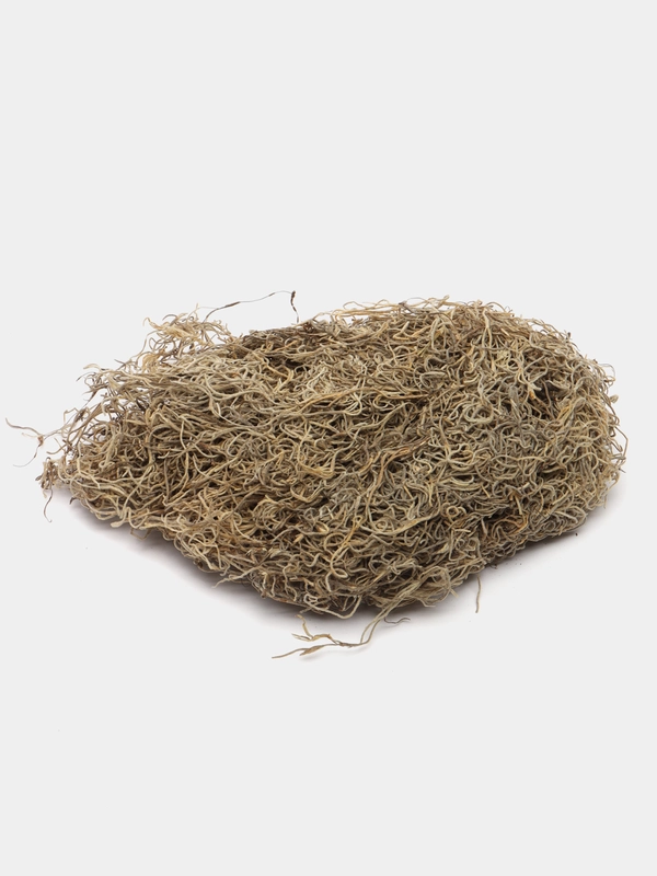 LUCKY REPTILE Мох испанский для террариума "Spanish Moss", 50 г