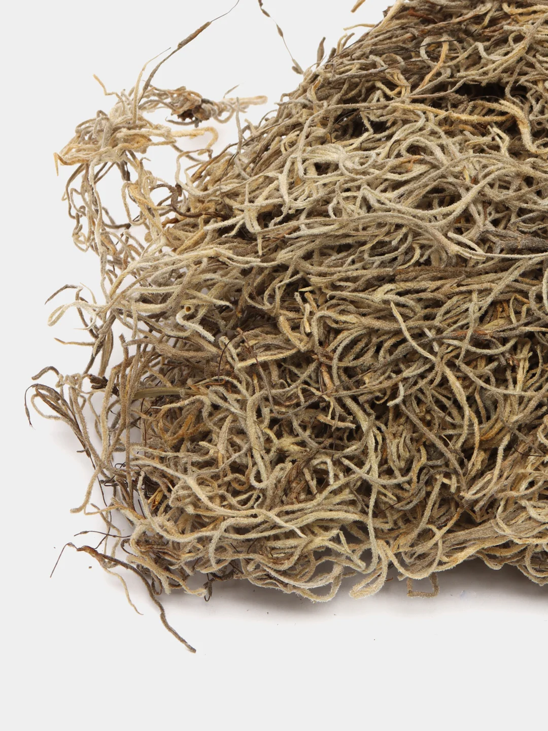 LUCKY REPTILE Мох испанский для террариума "Spanish Moss", 50 г
