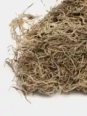 LUCKY REPTILE Мох испанский для террариума "Spanish Moss", 50 г