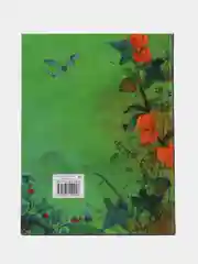 Маленькая колдунья Мерлинда и дракон Игорь, ДХЛ