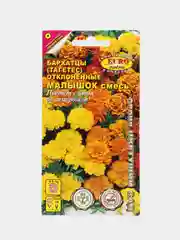 Коралловый меланж семена цветов Бархатцы (тагетес) разные сорта