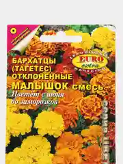 Коралловый меланж семена цветов Бархатцы (тагетес) разные сорта