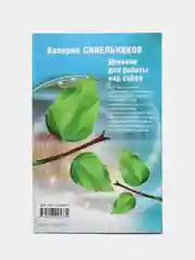 Синельников В.В. Радость самопознания. Дневник для работы над собой