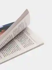 Меньшикова К.Е. Хозяин места