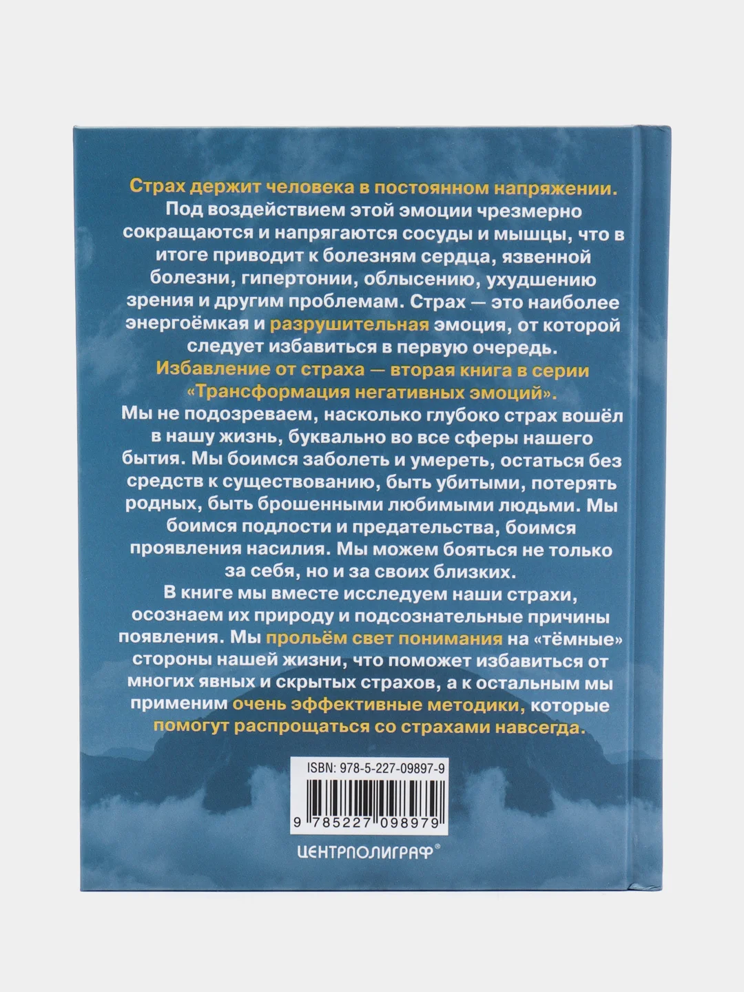 Жизнь без страха, В.В. Синельников