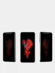 Защитное стекло-антишпион iPhone (айфон) XR, 11