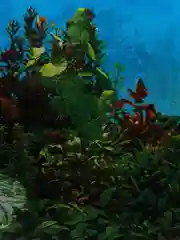 Фон для аквариумов EBI "Beauty & Sea", 120 х 50 см
