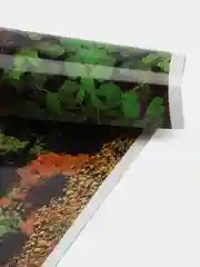 Фон для аквариумов EBI "Jungle & desert", 120 х 50 см
