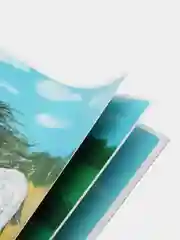Книга детская "В Коране о животных"