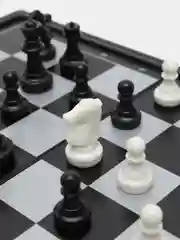 Молочный шахматы магнитные с фигурами, складная шахматная доска