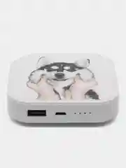 Прозрачный повербанк внешний аккумулятор, 10000 mAh