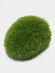 Декоративный мох для аквариума AQUA DELLA "Moos Ball", 6 x 4.5 x 3.5 см