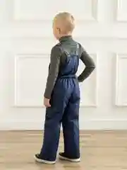 Синий зимний полукомбинезон, на мальчика, на девочку, Arctic kids