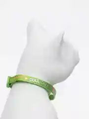 Ошейник для кошек нейлоновый DUVO+ "Cool cats", салатовый, 20-30 см/10 мм