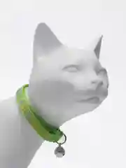 Ошейник для кошек нейлоновый DUVO+ "Cool cats", салатовый, 20-30 см/10 мм