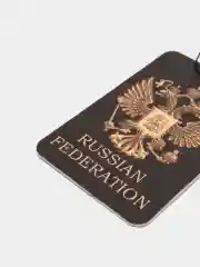 Ледяной ароматизатор для автомобиля