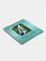 Тетрадь общая Attache, 80 л, клетка, А5