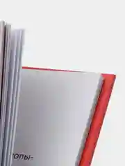 Алло, это Хилья!, книга 3, ДХЛ
