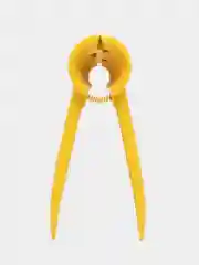 Желтый орехокол конусный